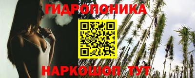 гидра Будённовск