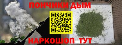 гидра Будённовск
