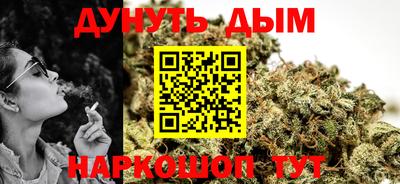 гидра Будённовск