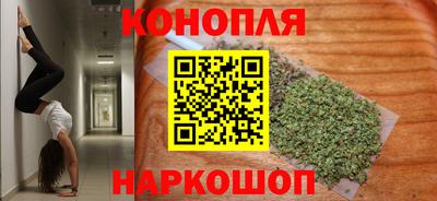 гидра Будённовск