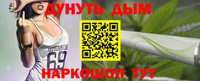 гидра Будённовск