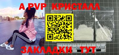 гидра Будённовск