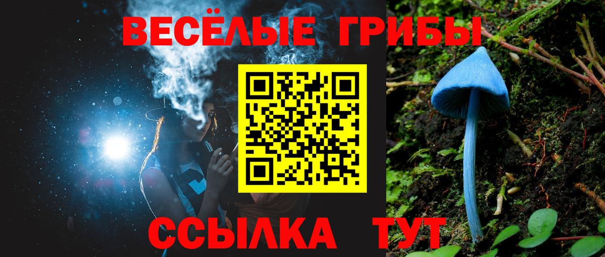 Псилоцибиновые грибы Cubensis  Вход с VPN  Галлюциногенные грибы мицелий  Псков 